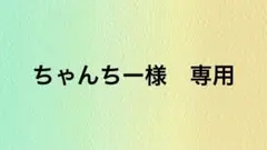 ちゃんちー様 専用