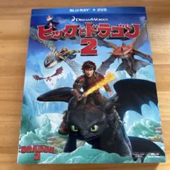 ヒックとドラゴン2 ブルーレイ&DVD('14米)〈初回生産限定・2枚組〉