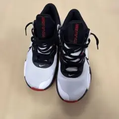 NIKE リニューエレベート3