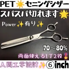 Item thumbnail for item 3cf559e2-1639-40e9-a12d-8a7ba4d9ce14