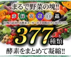 SNSで話題 ❗️超醗酵 酵素粒ダイエット❗️377種類 キノコ 菌活ダイエット