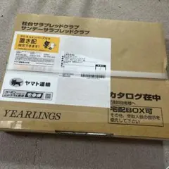 【未開封】サンデー・社台サラブレッドクラブ募集馬カタログ2025