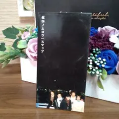 SMAP 夜空ノムコウ CD