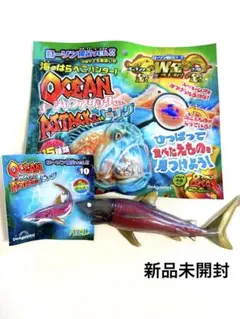 2025年最新】オーシャンアタック&co ハビレの人気アイテム