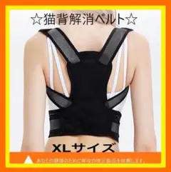 ★【限定】★猫背解消ベルトXL