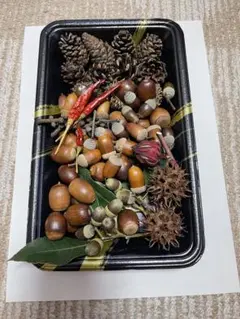 Item thumbnail for item 6749c9bc-f5f5-46bd-ae70-8a53d2cf19ca