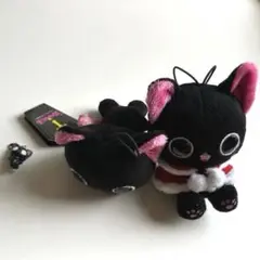 にゃんぱいあセット