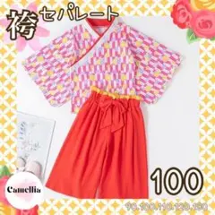 【上下セット】袴 100 セパレート 朱色 黄色 和服 着物 2点セット