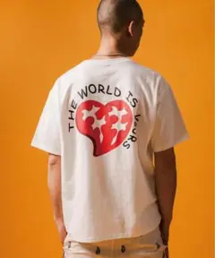 THE WORLD IS YOURS HEART PAISLEY tシャツ