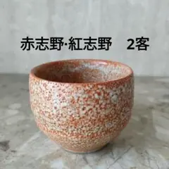 山口 真人 鼠志野ぐい呑 (YMA9013 ) | ギャラリーラボ