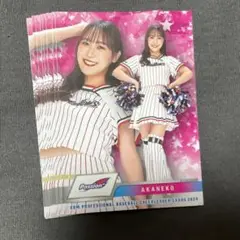 8枚すべて AKANEKO
