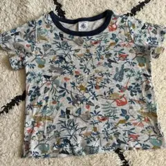 PETIT BATEAU 動物プリント Tシャツ 2ans/86cm