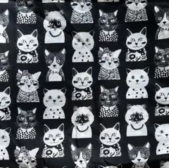 Item thumbnail for item 7a095561-a4bf-43aa-8610-72883101056e