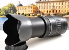 Item thumbnail for item 71fbaef4-4ef8-47e9-9b80-fcc5483d58e6