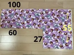 Item thumbnail for item 2e91e773-cf2f-449e-8be4-fc3afc3c4d9c
