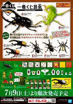 一番くじ　昆虫　世界の昆虫大集合　Ｃ賞　Ｄ賞　ラストワン賞 一番くじ昆虫世界の昆虫大集合C賞D賞ラストワン賞