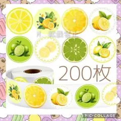 ギフトシール　切り売り　200枚　9　レモン　ライム　フルーツ　ありがとうシール