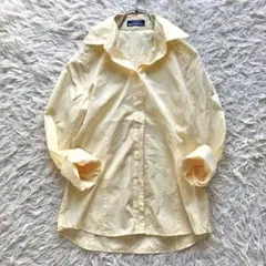 【希少】バーバリーブルーレーベル　シャツ　黄　ホース　洗える　シャドー柄　刺繍