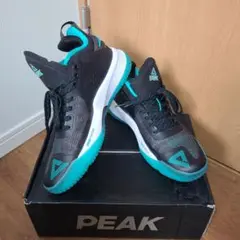 Item thumbnail for item f81aec66-a28e-4364-a84b-27543e0a286c