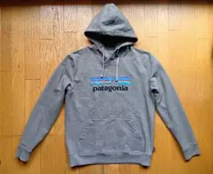 patagonia パタゴニア P-6 ロゴ・アップライザル・フーディ