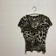 Item thumbnail for item 12404034-5465-48a0-9e06-a208ee437dc3
