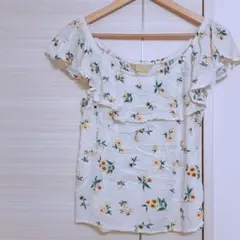 Item thumbnail for item c10f82a9-671f-4e26-a807-87e0b0cbcf1c