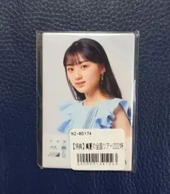 Item thumbnail for item 4921181b-02f4-4642-8743-dc208705d97d