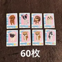 ワンタメ カード　60枚セット