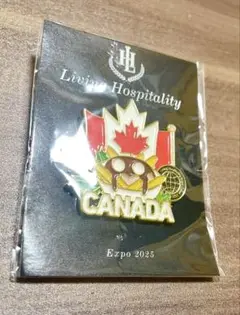 Item thumbnail for item 99de8857-9ede-4dba-af0e-c8ccbeea4178