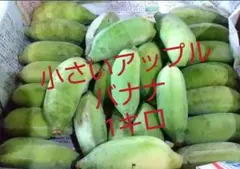 小さいアップルバナナ 1キロ