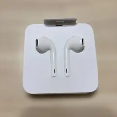 iPhone Apple純正 イヤホン Lightningケーブル