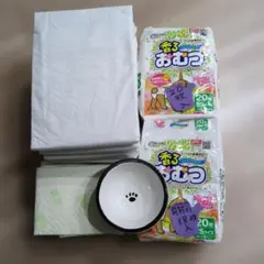 Item thumbnail for item d8710263-4b1f-463a-8519-9b2c2128a089