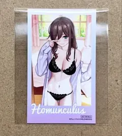 メロンブックス サマーフェスティバル 特典 チェキ風カード ホムンクルス