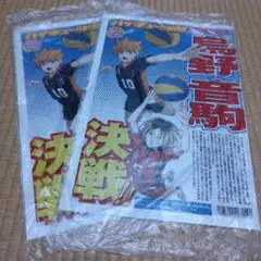 ハイキュー　新聞　2枚