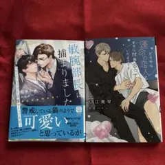 BL小説み敏腕部長に捕まりました～エリート上司と子育てシェア生活～」他