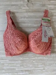 Item thumbnail for item 7291144a-9a8f-4b75-bea9-da141b222200