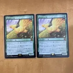 旅するチョコボ　日語　２枚