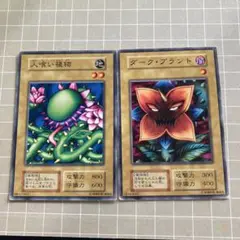 遊戯王　人喰い植物　ダークプラント　初期　ノーマル　ブースター　booster