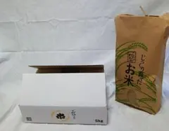 2025年最新】Hatsushimoの人気アイテム - メルカリ
