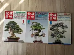 盆栽世界 3冊セット