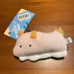 つぶらな瞳　水族館　うみうし