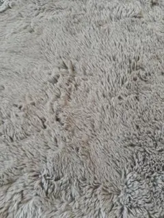 ニトリ ウサギラグ 160×230