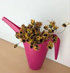 ドライフラワー（ルドベキア）