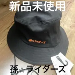 Item thumbnail for item db2178ad-f0b7-4182-a060-b10ec36eb044