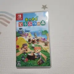 あつまれどうぶつの森　ケースのみ