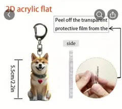 Item thumbnail for item afc0834f-a48c-40ba-8caf-67d5689dedfe