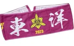 東洋大姫路　高校野球　応援タオル1枚③