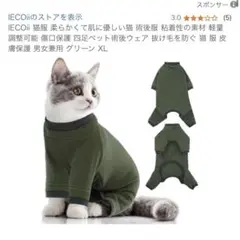 Item thumbnail for item 52a0302c-5c06-4151-ab60-fffd247960ad