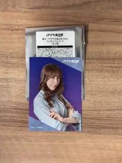 【送料込】ゲゲステ 舞台ゲゲゲの鬼太郎 2025 フォトカード 美弥るりか