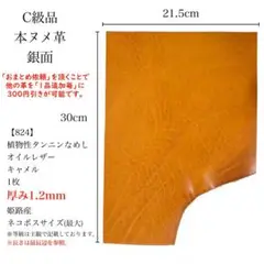 Item thumbnail for item c22b5e25-1ff1-40bd-b779-02bca151f67a